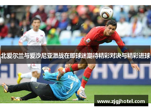 北爱尔兰与爱沙尼亚激战在即球迷期待精彩对决与精彩进球